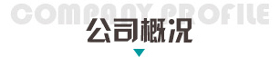 公司概况